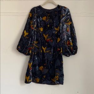 French connection dress, long sleeve, velvet